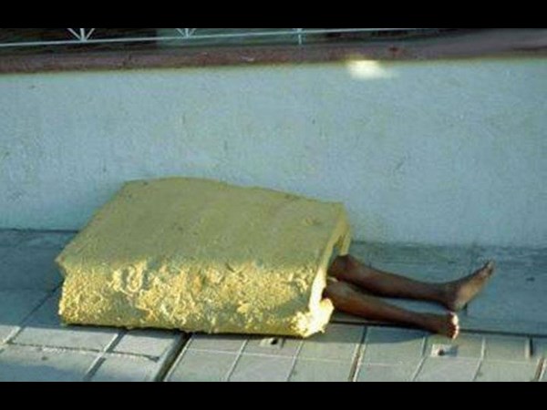 సోషల్ మీడియా వైరల్ వీకెండ్ ఫోటోలు