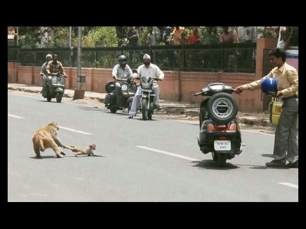 సోషల్ మీడియా వైరల్ వీకెండ్ ఫోటోలు