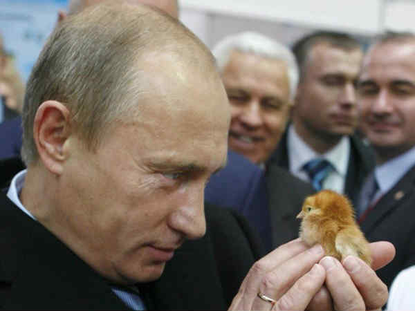 రష్యాపై ఆరోపణలు