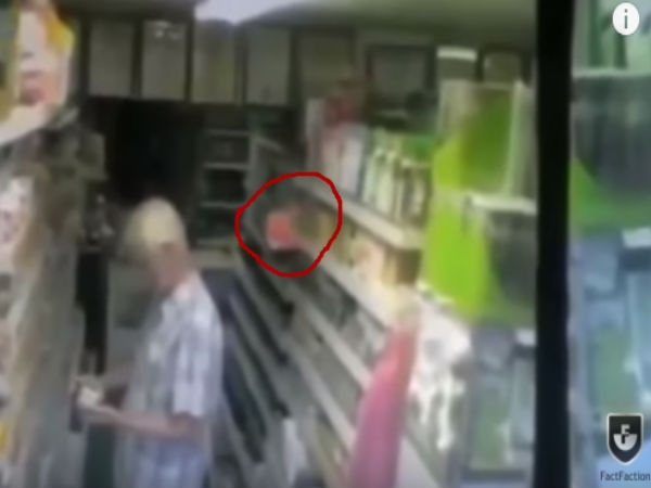 ది వైటబుల్ షాప్ ఘోస్ట్ 