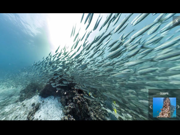 సముద్ర గర్భంలో గూగుల్