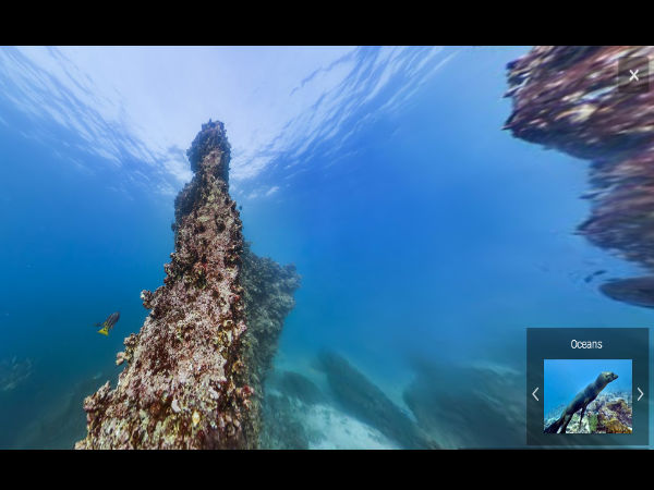 సముద్ర గర్భంలో గూగుల్