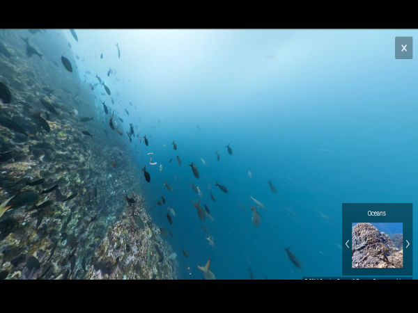 సముద్ర గర్భంలో గూగుల్