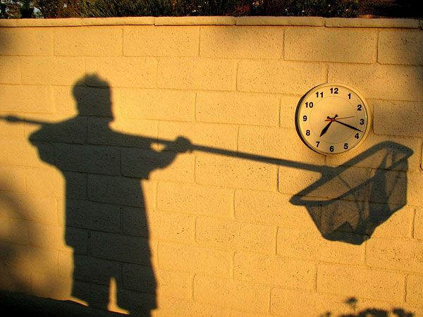 టైమింగ్ అదిరహో... మళ్లీ మళ్లీ చూస్తారు