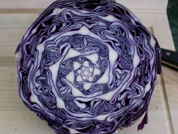 ఈ ఫోటోల ఉనికి గురించి మీకేమైనా తెలుసా..?