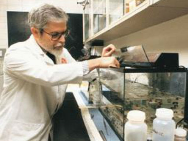 మనుషుల కంటే ముందుకు అంతరిక్షంలో కాలు మోపిన జంతువులు