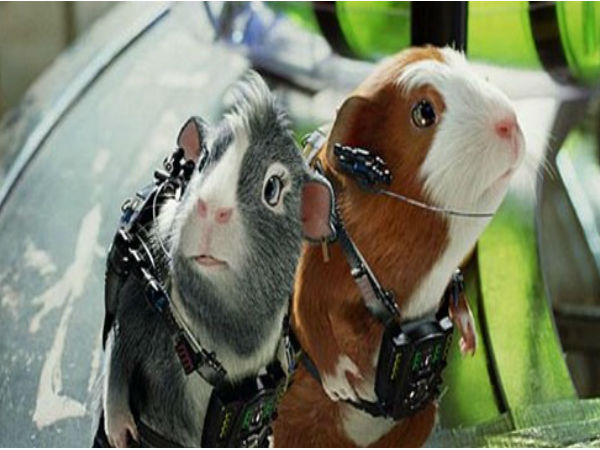 మనుషుల కంటే ముందుకు అంతరిక్షంలో కాలు మోపిన జంతువులు