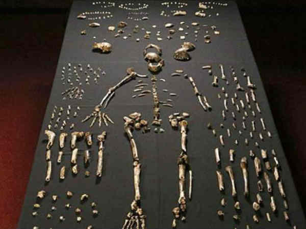  6 వేల ఏళ్ల క్రితం ఇంత ఉచకోత జరిగిందా.. 