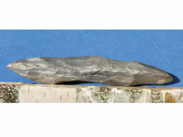  6 వేల ఏళ్ల క్రితం ఇంత ఉచకోత జరిగిందా.. 