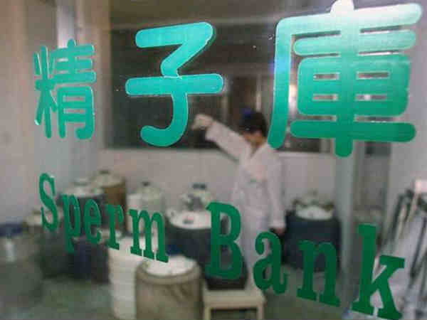 అది ఇస్తే ఫ్రీగా రోజ్ గోల్డ్ ఐ ఫోన్ ఇస్తాం 