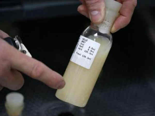 అది ఇస్తే ఫ్రీగా రోజ్ గోల్డ్ ఐ ఫోన్ ఇస్తాం 