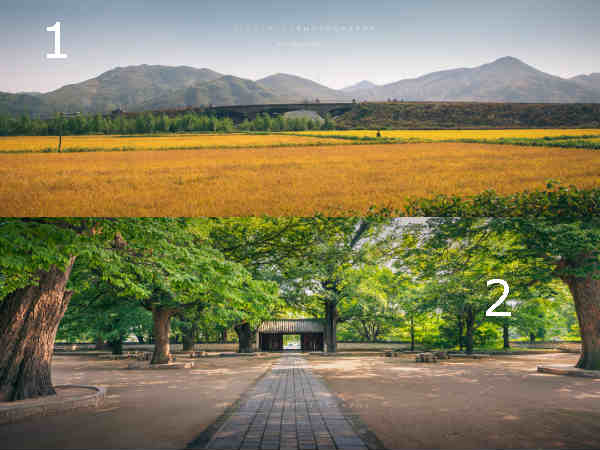 నియంత రాజ్యంలో అందాల లోగిళ్లు..