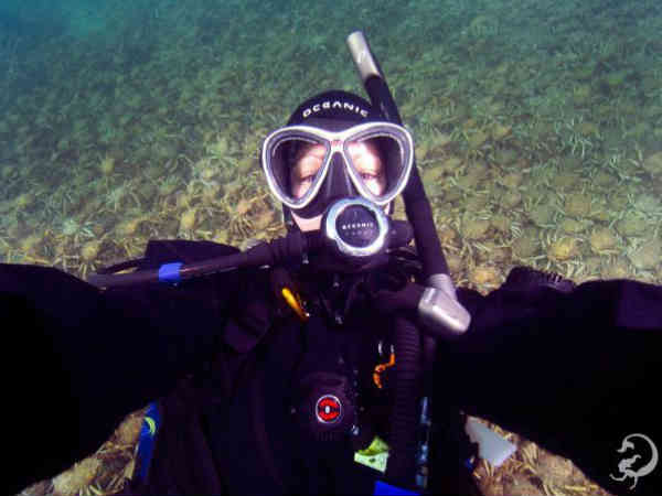 షాకింగ్ వీడియో : సముద్రగర్భంలో అసలేం జరుగుతోంది..?