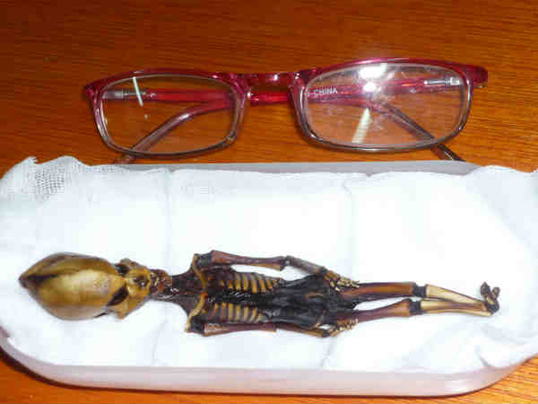 అద్భుతం..మార్స్ మీద ఏలియన్స్ ఇల్లు ఉన్నాయి 