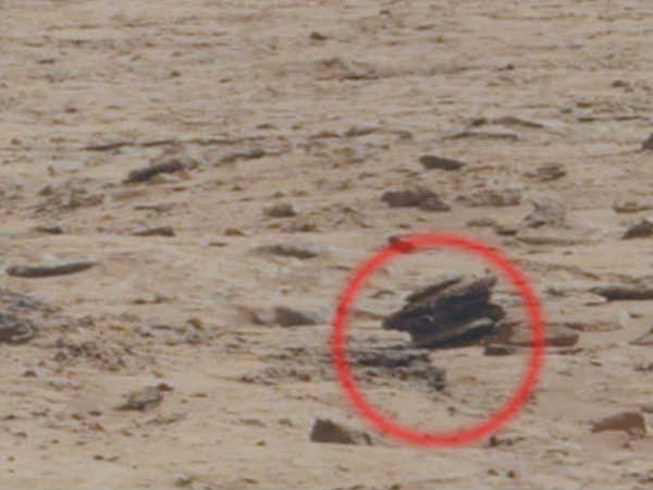 ఏలియన్స్ ఉపయోగించే వాహనం