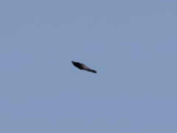 పరిశోధకులు మాత్రం ఇవి గురు, శుక్ర గ్రహాలని