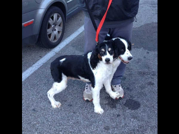 షాక్‌తో పాటు కన్ఫ్యూజన్ క్రియేట్ చేసిన ఫోటోలు 