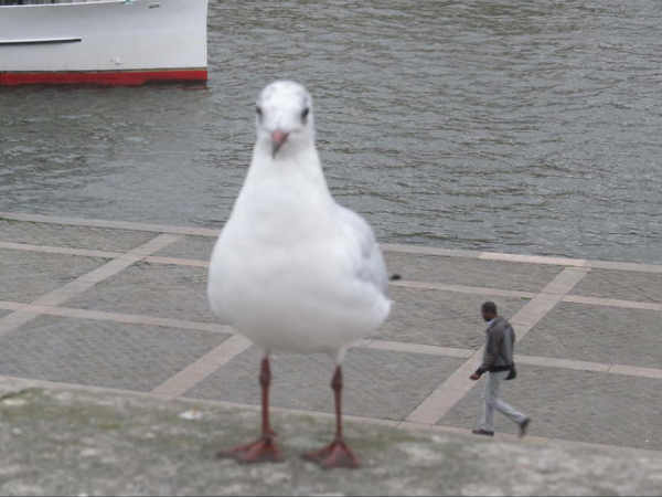 షాక్‌తో పాటు కన్ఫ్యూజన్ క్రియేట్ చేసిన ఫోటోలు 