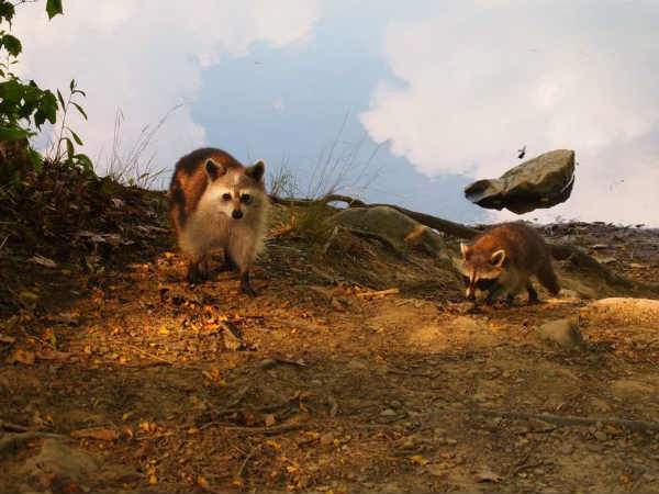 షాక్‌తో పాటు కన్ఫ్యూజన్ క్రియేట్ చేసిన ఫోటోలు 