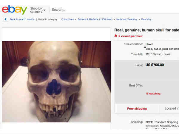 ఇదేం వ్యాపారం..ఆన్లైన్లో వేలానికి మనుషుల పుర్రెలు