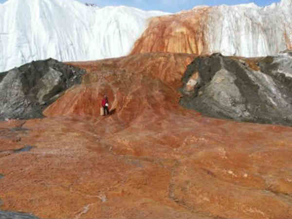 తెల్లని మంచులో రక్తపు జలపాతం..మిస్టరీ వీడింది 