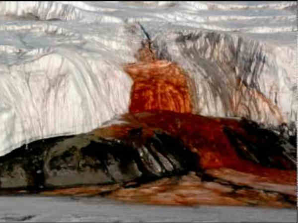 తెల్లని మంచులో రక్తపు జలపాతం..మిస్టరీ వీడింది 