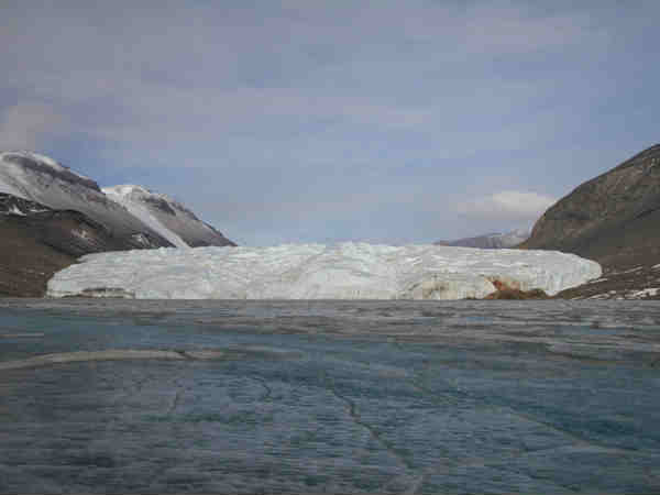 తెల్లని మంచులో రక్తపు జలపాతం..మిస్టరీ వీడింది 