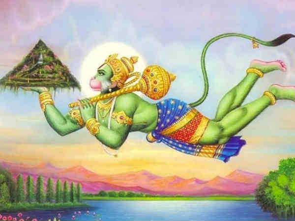 ప్రాణాలు పోసే సంజీవని కోసం హిమాలయాల్లో వేట