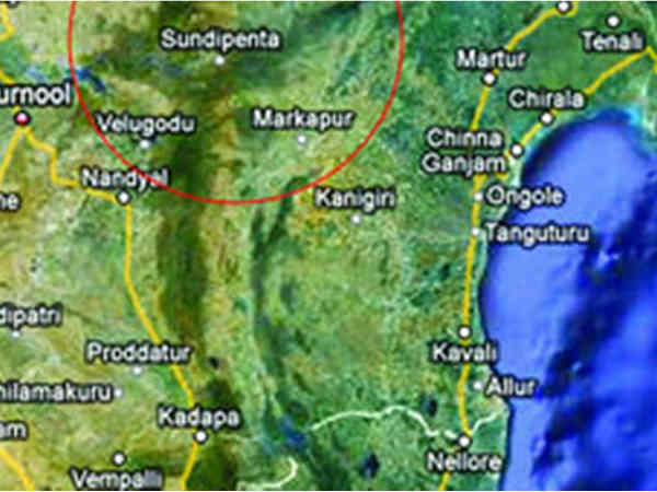 ప్రాణాలు పోసే సంజీవని కోసం హిమాలయాల్లో వేట