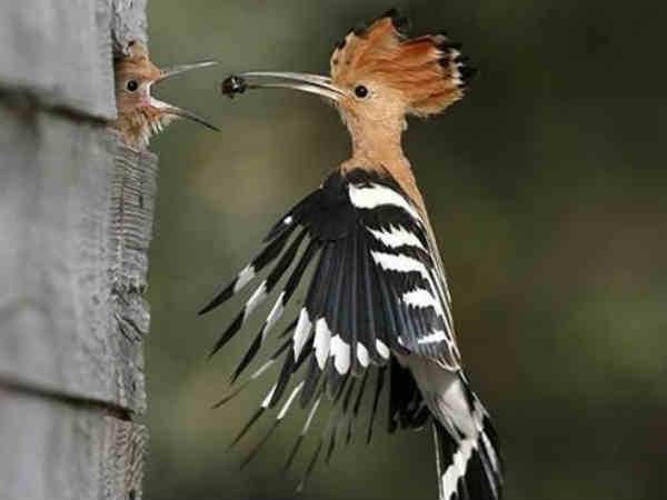 ఫర్పెక్ట్ టైంలో ఫర్పెక్ట్ ఫోటోలు..క్యాప్సన్ ఇంకా హైలెట్ 