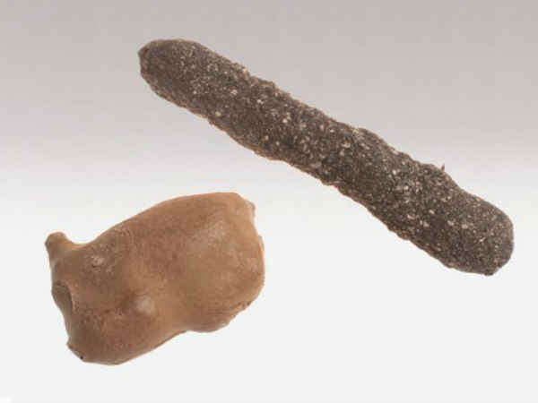 ఎవ్వరికీ తెలియని సీఐఏ రహస్య ఆయుధాలు 