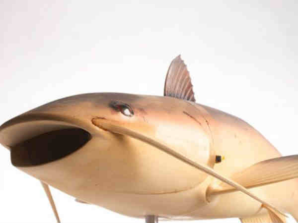 ఎవ్వరికీ తెలియని సీఐఏ రహస్య ఆయుధాలు 