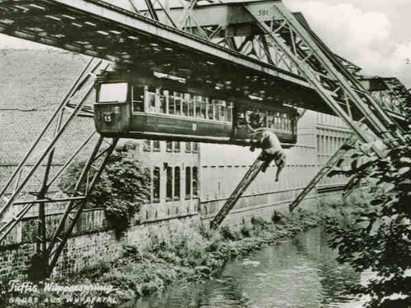 ఈ ఫోటోల గురించి చెప్పడానికి మాటలు చాలవు 