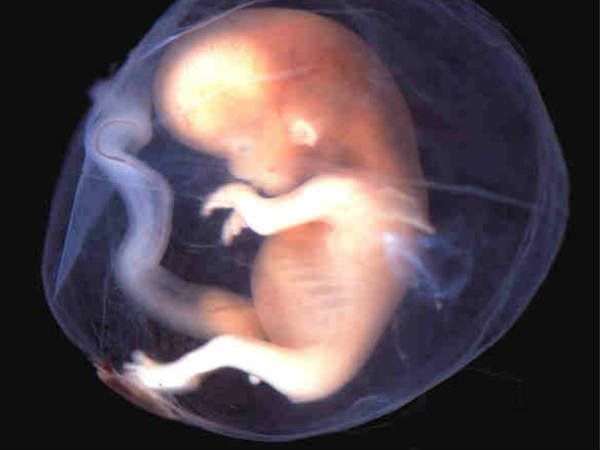 టెక్నాలజీ గురించి అరుదైన నిజాలు!