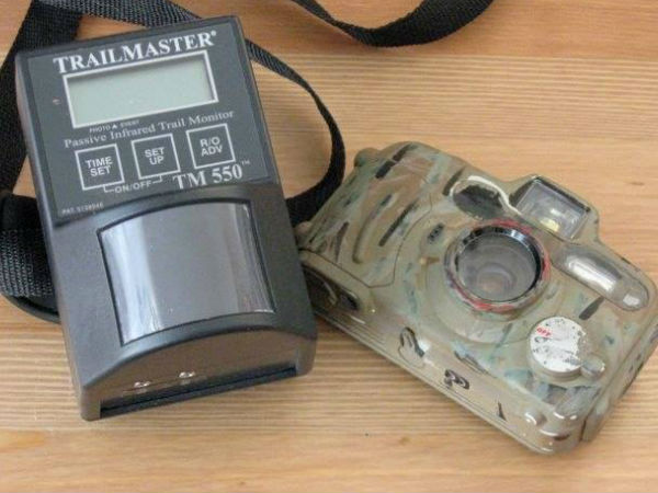 కెమెరా ట్రాప్