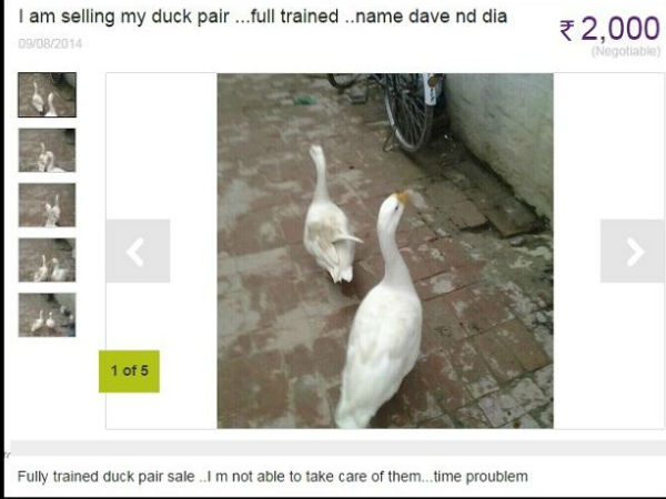 ఆన్‌లైన్ యాడ్స్.. చూస్తే షాక్