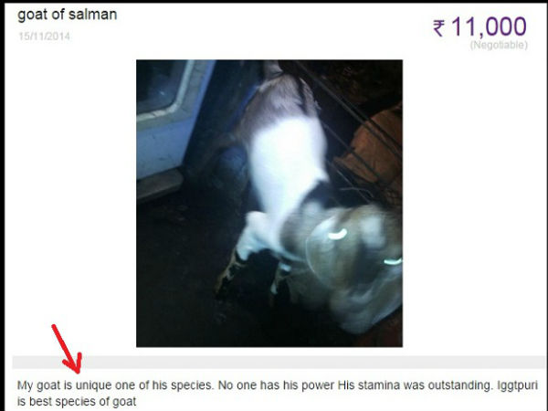 ఆన్‌లైన్ యాడ్స్.. చూస్తే షాక్