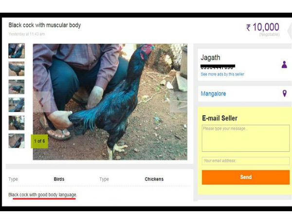 ఆన్‌లైన్ యాడ్స్.. చూస్తే షాక్