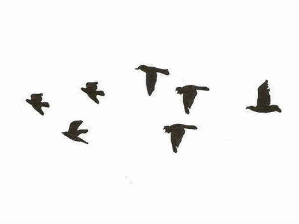 రూ. 800 ఫోన్..ఐ ఫోన్‌‌ను సవాల్ చేస్తోంది 