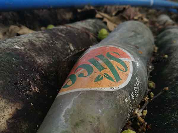 మాక్రో షాట్