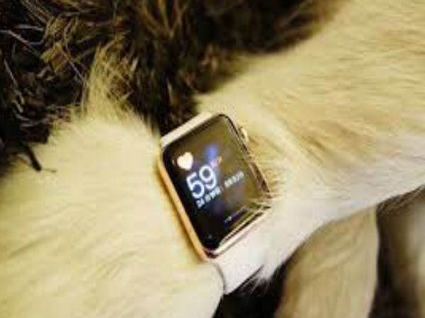 రెండు ఖరీదైన యాపిల్ వాచీలను కూడా