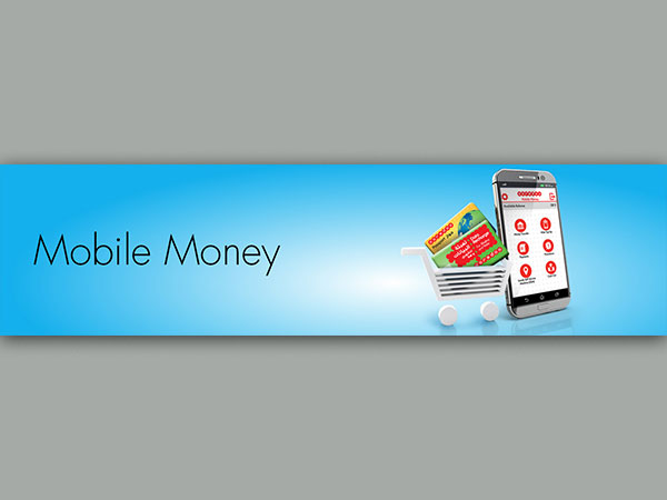 Mobile Money App