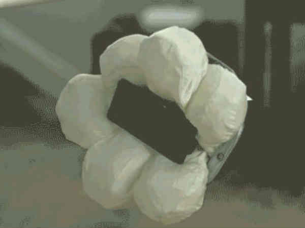 దీనిపై కొన్ని విమర్శలు