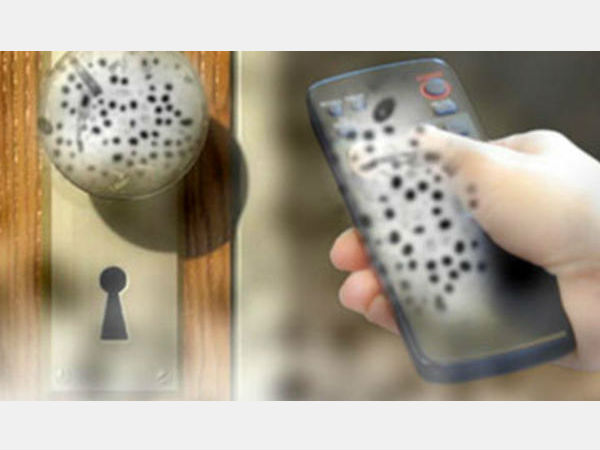 ఇవి కూడా బ్యాక్టీరియా కేంద్రాలేనట