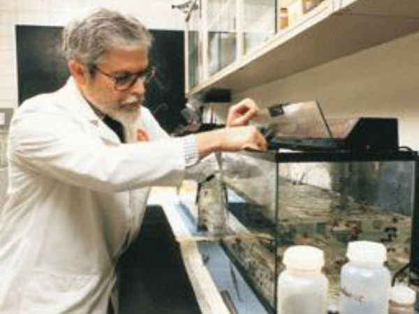 కోతులతో పాటు నీటి ఉడుములు..