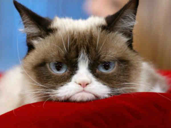 కొత్తగా అప్‌డేట్ అయిన వాట్సప్‌లో