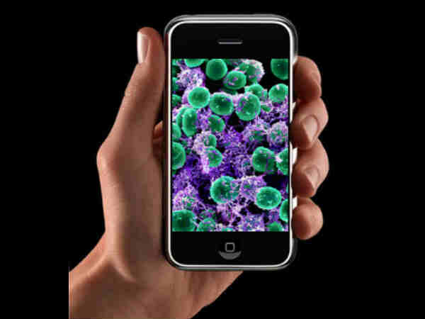 30 రకాల ఫంగస్‌లను