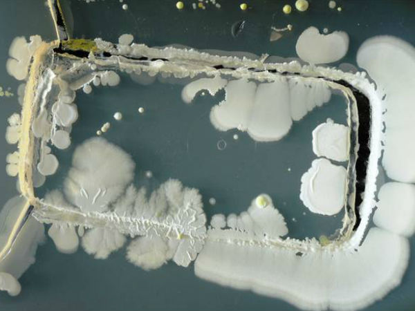 ఫోన్ వినియోగం పై షాకింగ్ నిజాలు