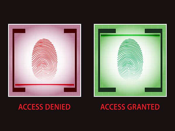 కెపాసిటివ్ స్కానర్ (Capacitive scanner)