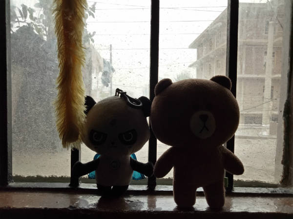 స్టాండర్డ్ కెమెరా లెన్స్... 